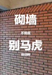 砌墻千萬別聽泥水師傅的！